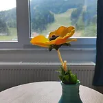 Lägenhet Snjezna Pahuljica - Free Garage