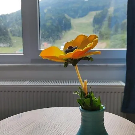 דירה Snjezna Pahuljica - Free Garage